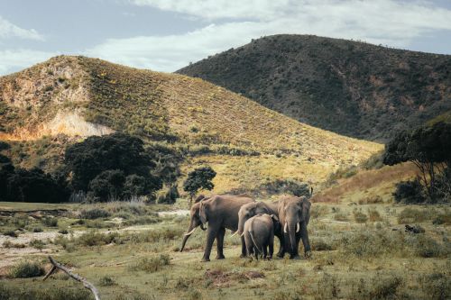 South Africa & Namibia